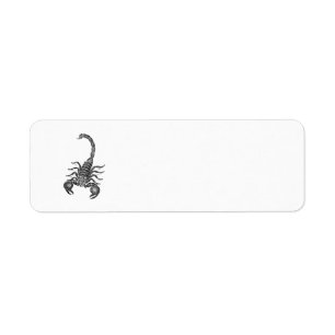 Étiquette Illustration vintage de scorpion de 1800s -