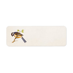 Étiquette Illustration vintage d'oiseau de chanson - oiseaux