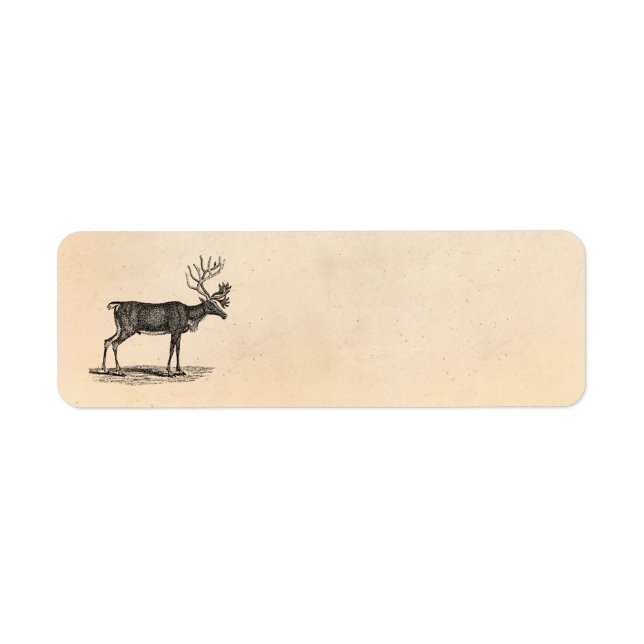 Étiquette Illustration vintage Reindeer - Noël des années 18 (Devant)