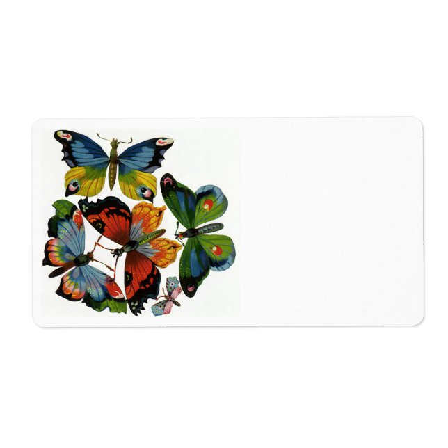 Étiquette Insectes vintages ou des insectes, Belles papillon (Devant)