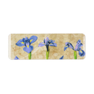 Étiquette Iris antiques - personnaliser vintage d'arrière -