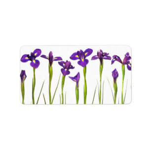 Étiquette Iris pourpres - modèle customisé par fleur d'iri