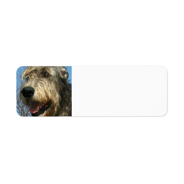 Étiquette iw.png (Devant)