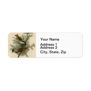 Étiquette Jaseur d'Audubon Cèdre Oiseau