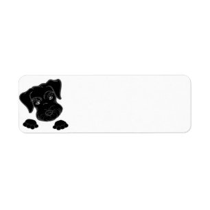 Étiquette jeter un coup d'oeil noir de schnauzer miniature
