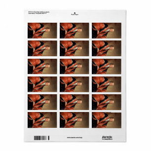 Étiquette John Jay, 1794 par Gilbert Stuart