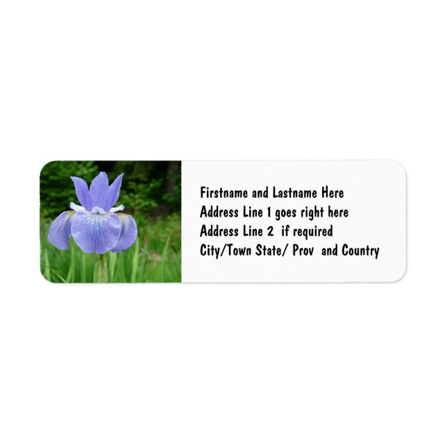Étiquette Joli bleu Indigo Sibérien Fleur d'Iris (Devant)