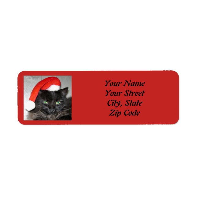 Étiquette Joli chat de Noël Santa Hat Photo (Devant)