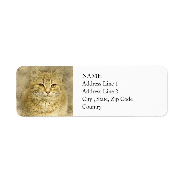 Étiquette Joli Orange Kitty | ABSTRAIT | Aquarelle (Devant)