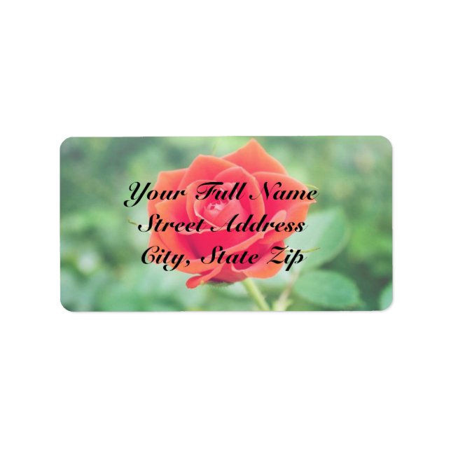 Étiquette Joli Rose (Devant)