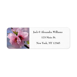 Étiquette Jolie fleur de cerisier rose Chic Adresse de retou