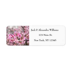 Étiquette Jolie fleur de cerisier rose rustique Adresse de r