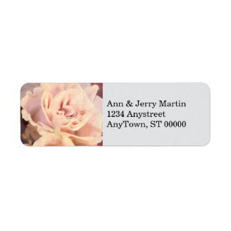 Étiquette Jolie rose rose sur gris pâle 