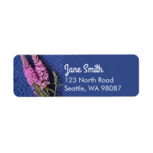 Jolie Veronica Floral Speedwell sur Tricot