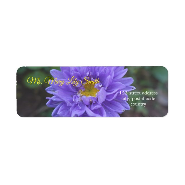 Étiquette jolies fleurs de marguerite violettes (Devant)
