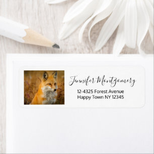 Étiquette Jote Red Fox Wilderness Nature Photographie