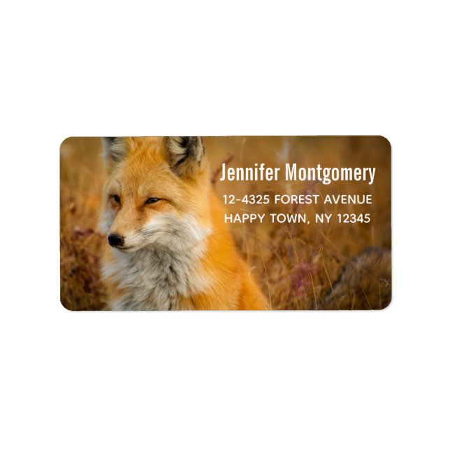 Étiquette Jote Red Fox Wilderness Nature Photographie (Devant)