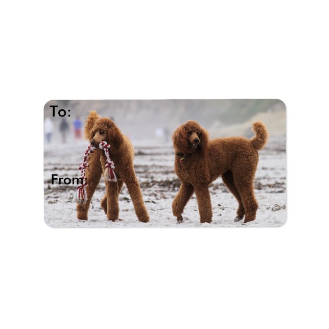 Étiquette Jour des canicules 2010 #10 (Devant)