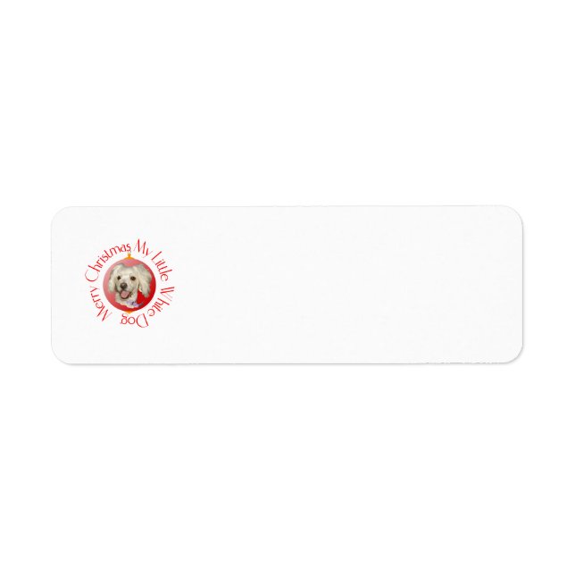 Étiquette Joyeux Noël Petit Chien Blanc Poodé / Bichon (Devant)