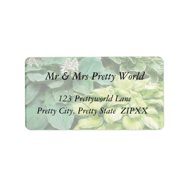 Étiquette Juste Un Hosta De Plus ! (Devant)