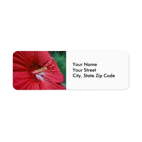 Étiquette Ketmie rouge avec l'étiquette de adresse de retour