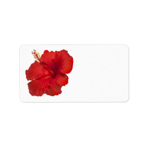 Étiquette Ketmie rouge sur le blanc - modèle customisé
