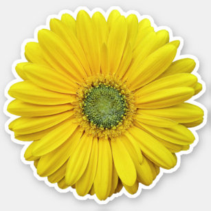Étiquette Kiss-Cut Fleur de la marmite jaune