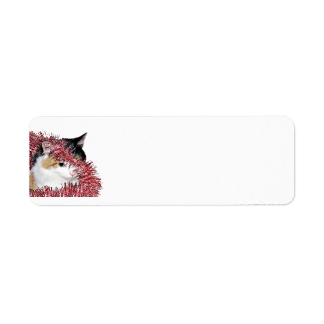 Étiquette Kitty de Noël de Calico (Devant)