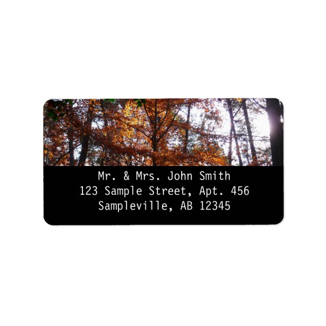 Étiquette La lumière du soleil dans l'arbre d'automne de la  (Devant)