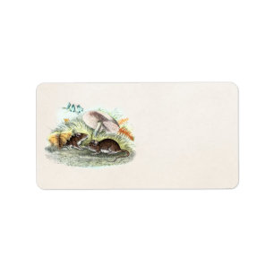 Étiquette La souris de champ vintage W répand de vieilles