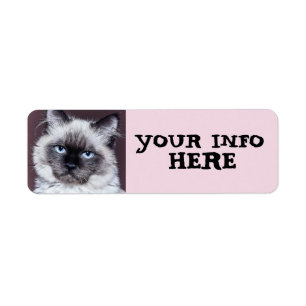 ÉTIQUETTE LABELS D'ADDRESS DE RETURN DE PEEKING SIAMESE