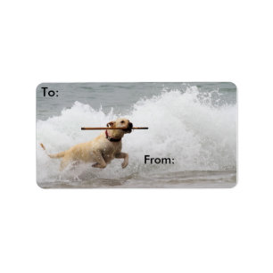 Étiquette Labrador - jaune - allez effort !