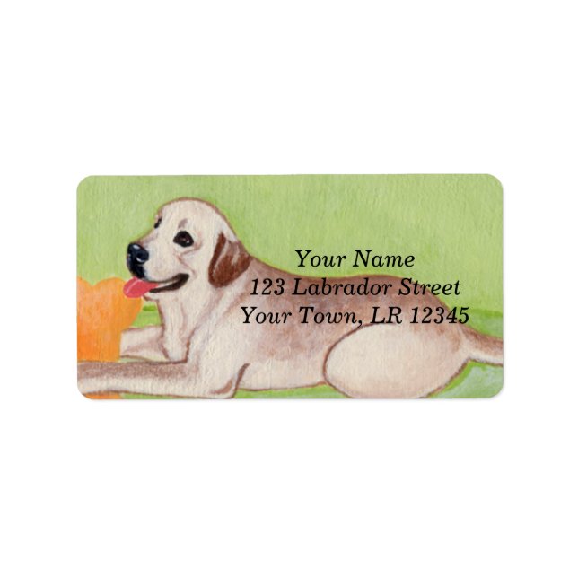 Étiquette Labrador jaune sur le canapé vert (Devant)