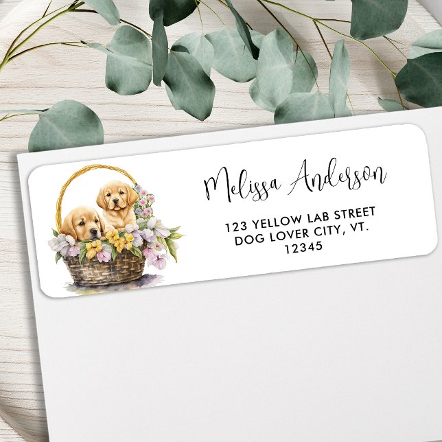 Étiquette Labrador Retriever Chien Cute Puppies Adresse de r (Créateur téléchargé)