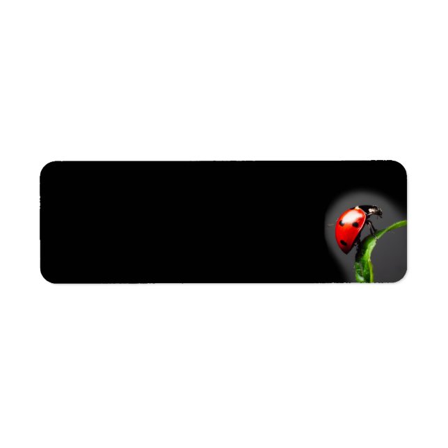 Étiquette Ladybug (Devant)