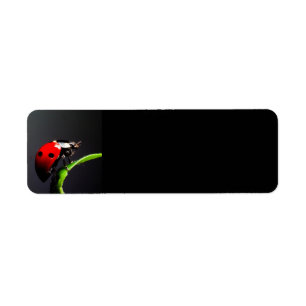 Étiquette Ladybug