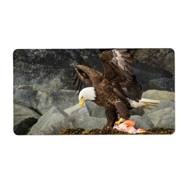 Étiquette L'aigle chauve ultime (Devant)