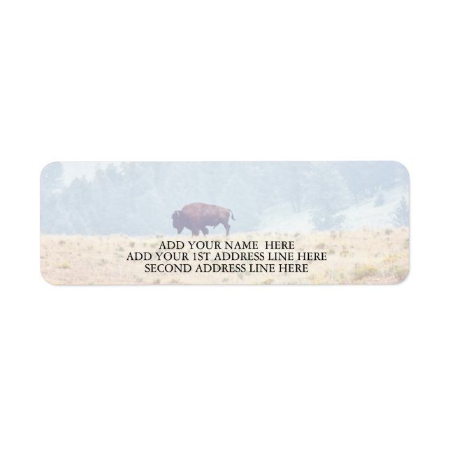 Étiquette Lamar (Devant)