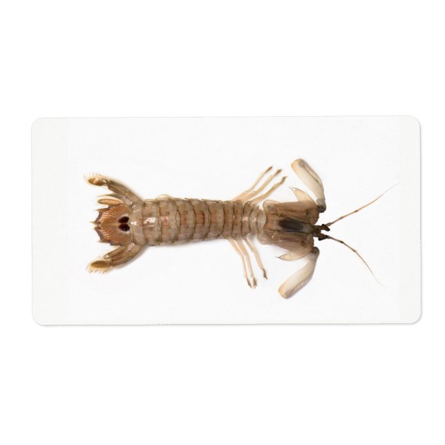 Étiquette Langoustine (Devant)