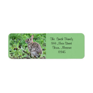Étiquette Lapin