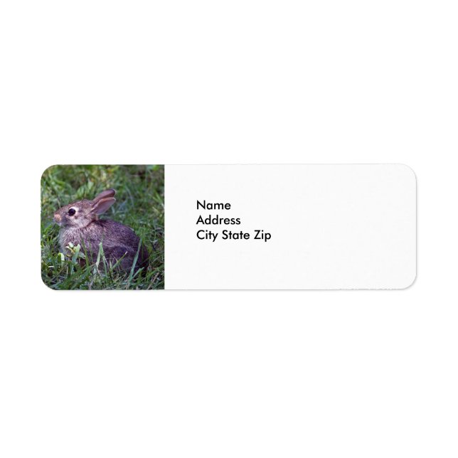 Étiquette Lapin 8603 (Devant)