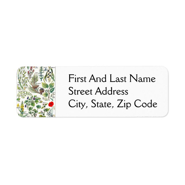 Étiquette Larousse Pine Cône Forêt Nature Art (Devant)