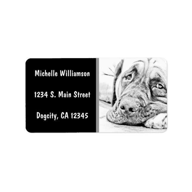 Étiquette Lazy Mastiff (Devant)