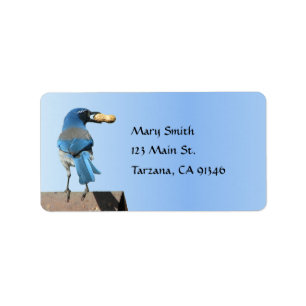 Étiquette Le bleu mignon frottent l'oiseau de geai avec