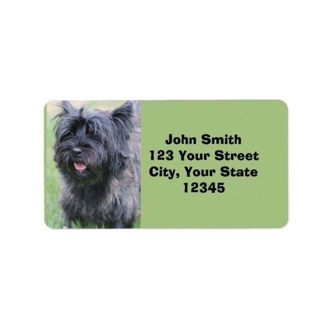 Étiquette Le Caire (Devant)