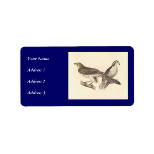 Étiquette Le Goshawk américain (Astur atricapillus)