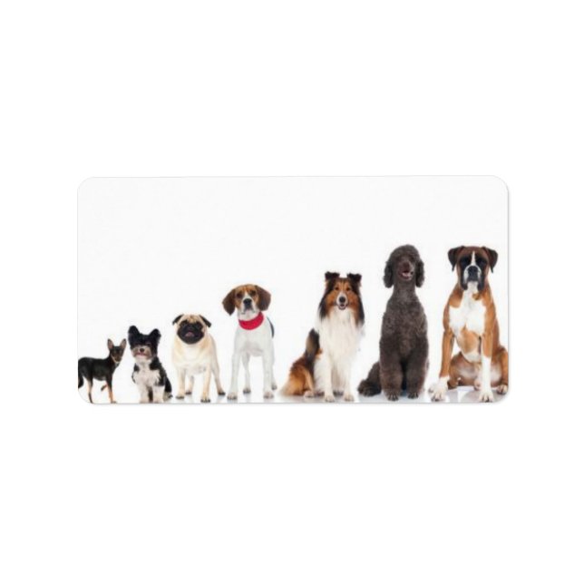 Étiquette "le meilleur ami de l'homme." (Devant)