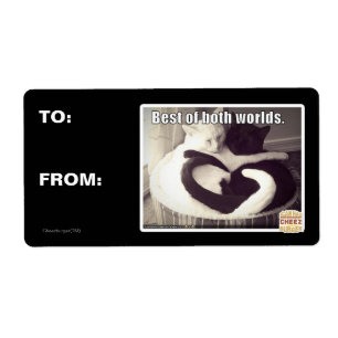 Étiquette Le meilleur des deux mondes.