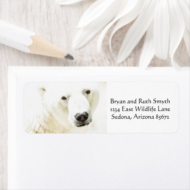 Étiquette Le regard d'Icy d'un ours polaire (En situation)