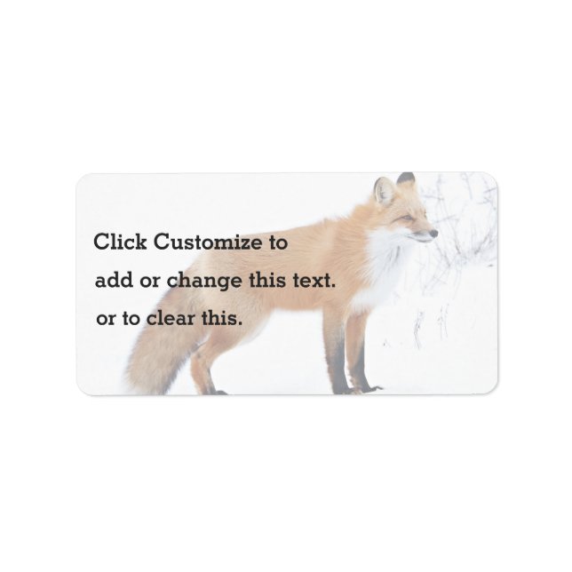 Étiquette Le Renard Se Reposant Dans La Neige (Devant)